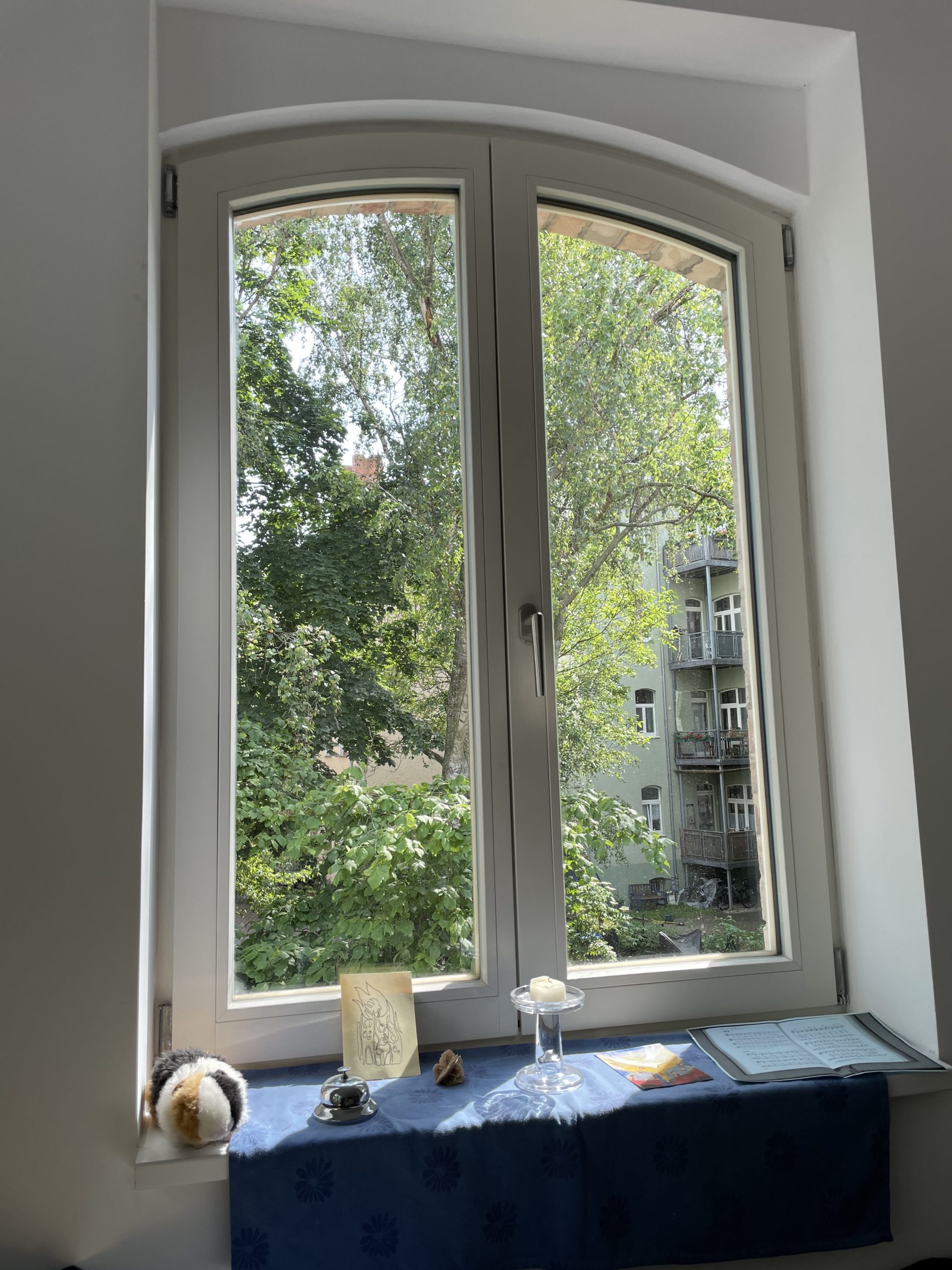 Fotografie des Blicks aus dem Fenster des Hinterhauses im Glauchaviertel auf Bäume und das Vorderhaus.
